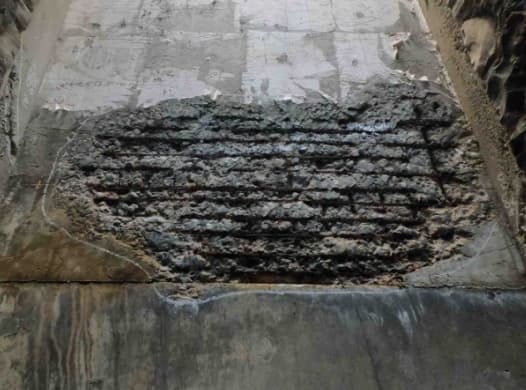 AIによる判定結果（健全度）