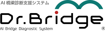 AI橋梁診断支援システムDr.Bridge